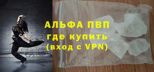 сатива Гусев