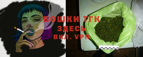 сатива Гусев