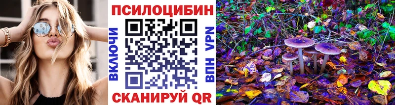 Купить где  Каргат  Псилоцибиновые грибы Cubensis 